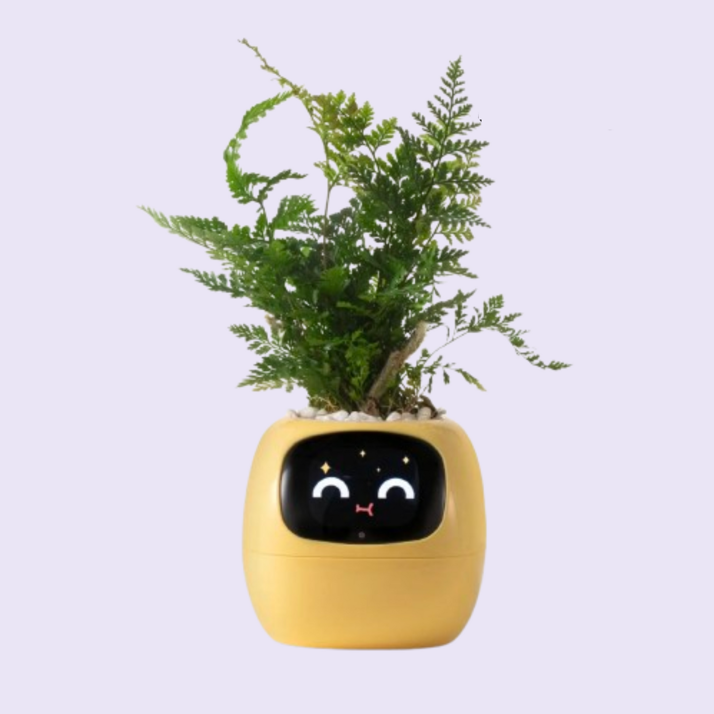 Aicheers SmartGrow AI Planter Pot🌱