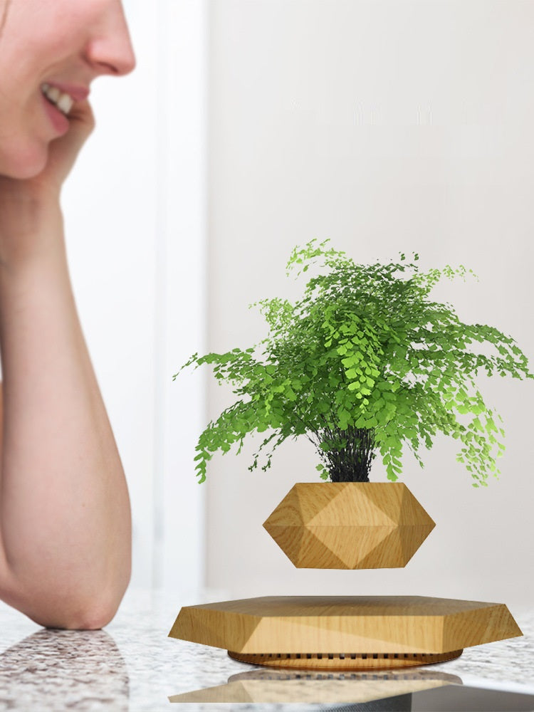 Aicheers Magnetic Levitation Planter Pot Futuristic Desk Decor