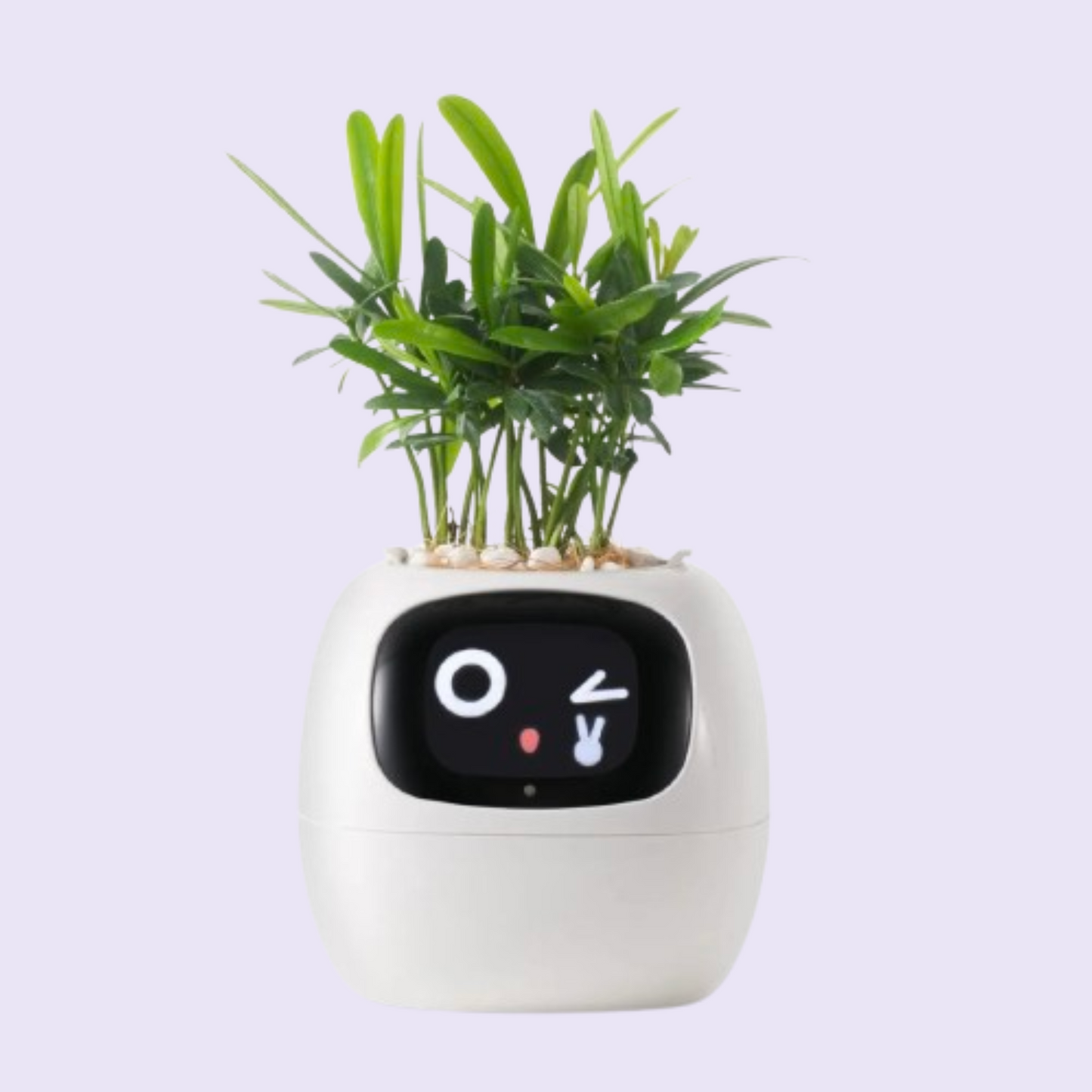 Aicheers SmartGrow AI Planter Pot🌱