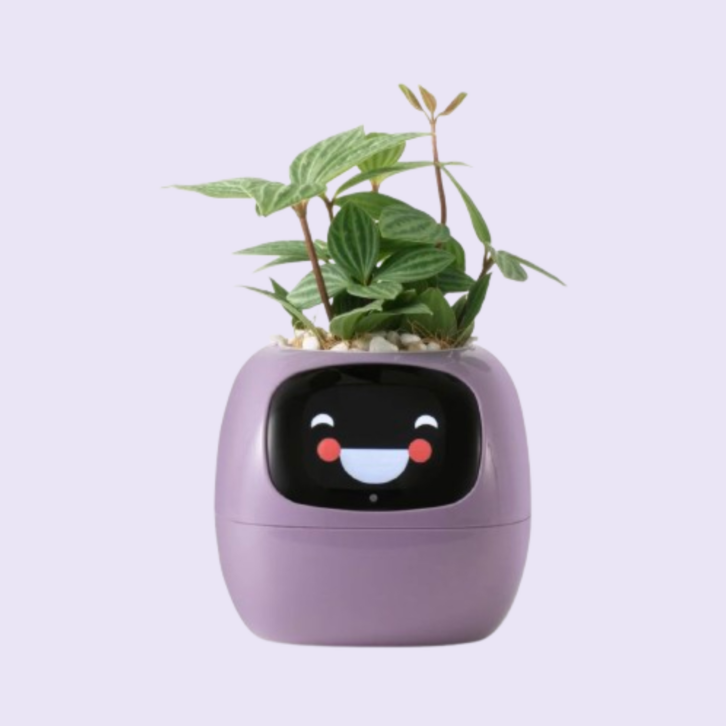 Aicheers SmartGrow AI Planter Pot🌱